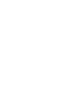 SOC 2 Type 1